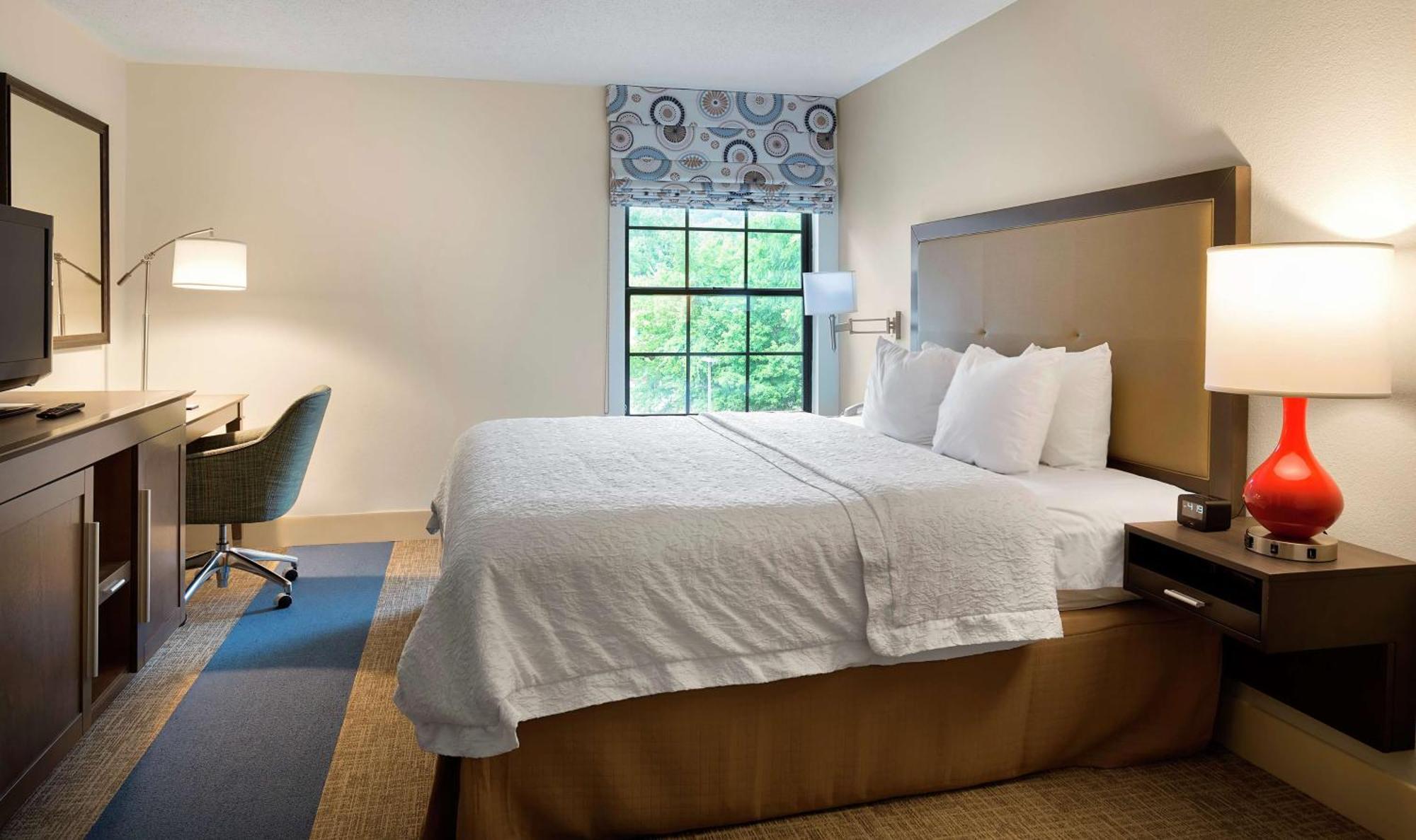 Hampton Inn Helen Esterno foto